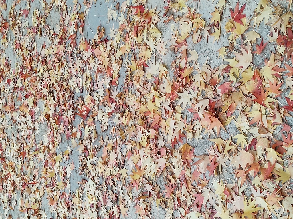 No s'ha trobat l'arxiu